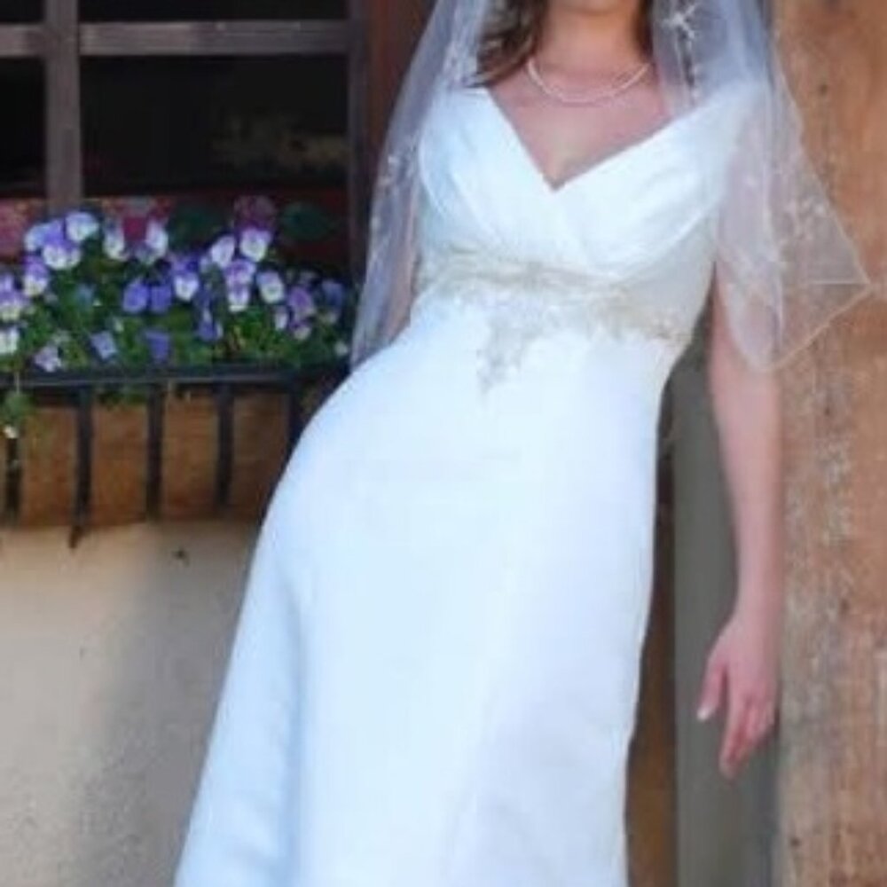 Vintage Ivory and Chanpage David's Bridal wedding dress